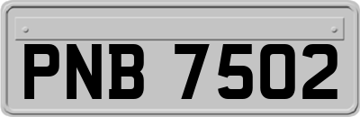 PNB7502