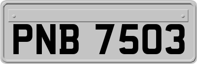 PNB7503
