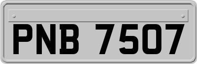 PNB7507