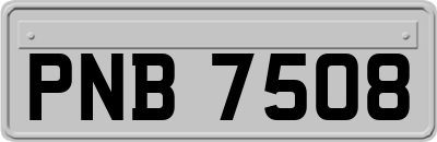 PNB7508