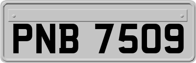 PNB7509