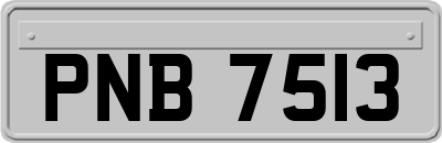 PNB7513