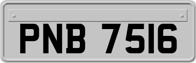 PNB7516