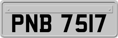 PNB7517