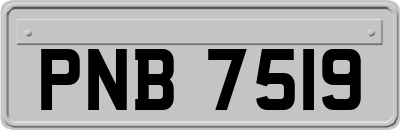 PNB7519
