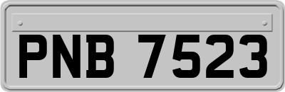 PNB7523