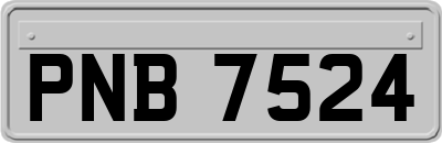 PNB7524