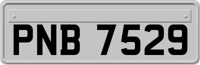 PNB7529