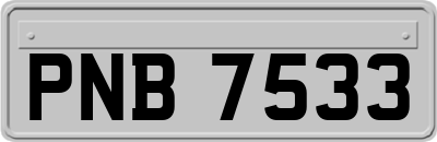 PNB7533