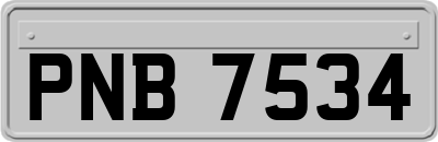 PNB7534