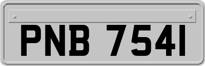 PNB7541