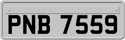 PNB7559