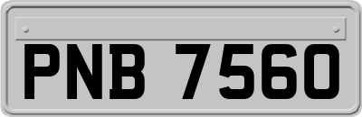 PNB7560