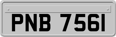 PNB7561