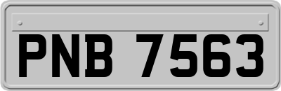 PNB7563