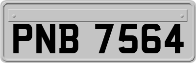 PNB7564