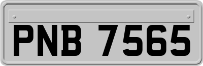 PNB7565
