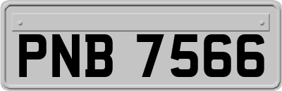PNB7566