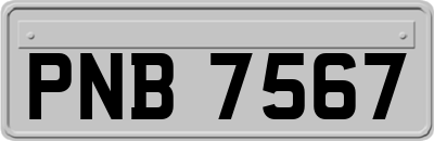 PNB7567