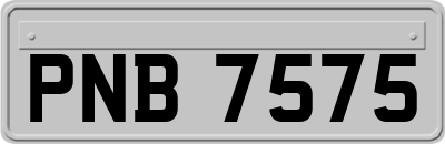 PNB7575