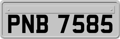 PNB7585