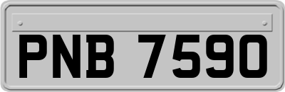 PNB7590