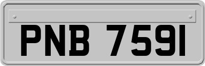 PNB7591