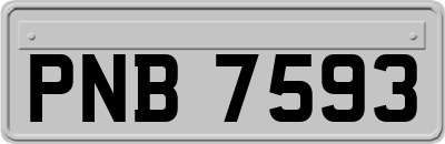 PNB7593