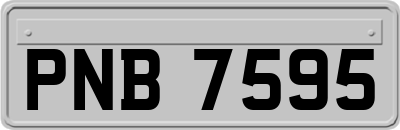 PNB7595