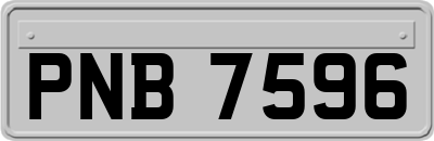 PNB7596