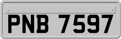 PNB7597