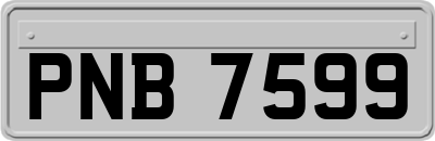 PNB7599