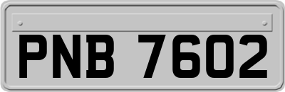 PNB7602