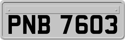 PNB7603