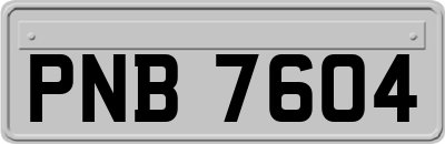 PNB7604