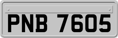 PNB7605