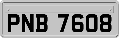 PNB7608