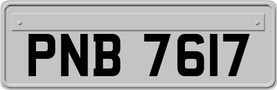 PNB7617