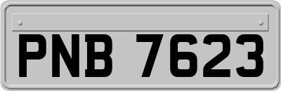 PNB7623