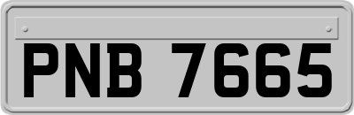 PNB7665
