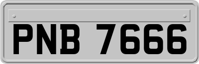 PNB7666