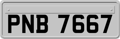 PNB7667