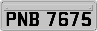 PNB7675