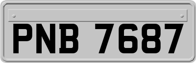 PNB7687