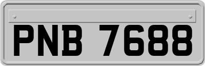 PNB7688