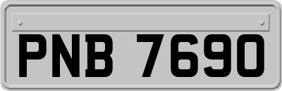 PNB7690