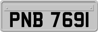 PNB7691
