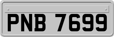 PNB7699