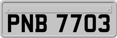 PNB7703