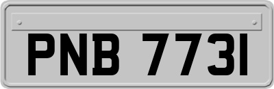 PNB7731